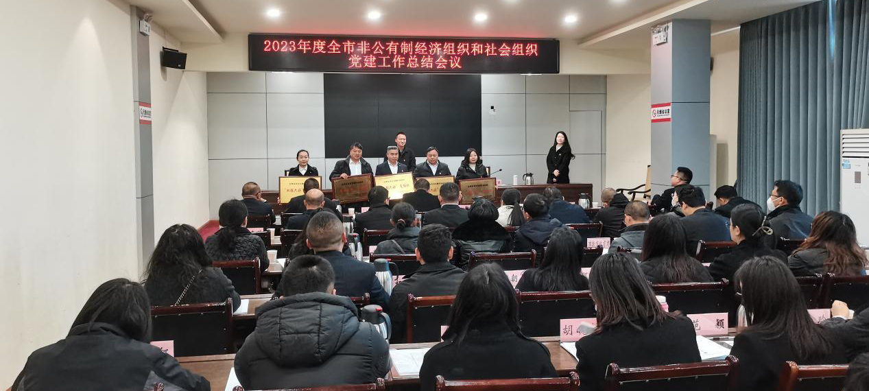 喜讯！矿业总公司财通公司党支部荣获会理市“双强六好”党组织称号(图3)