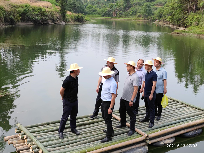 集团公司王劲董事长视察穹窿植物园建设现场(图2)